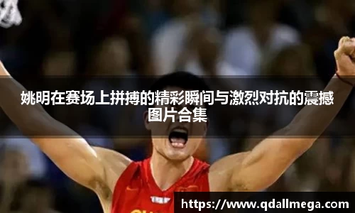 姚明在赛场上拼搏的精彩瞬间与激烈对抗的震撼图片合集